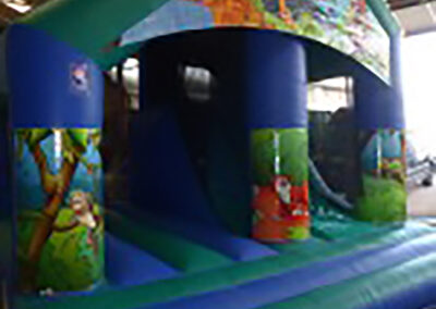 Enclosed Jungle Slide