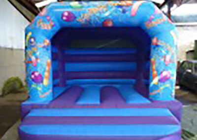 Party Theme Bouncy Castle