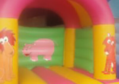Bouncy Castles Ratoath Zoo Theme